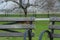 Benches at the park