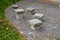Benches in the shape of mushrooms made of solid carved stone. connection of block and stone slabs, for paving near the house. chai