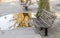 Benches, sidewalk puddle and reflected in the mirror of water tr