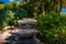 Benches and table in a garden in Key West, Florida.