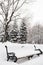 The benches and trees in the city park are covered with heavy snow.Evergreen trees in the open air.Winter, snow, holiday