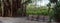 Benches under Banyan trees Ficus carica with their thick roots