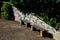 Benches under the retaining wall in an Italian baroque garden. the wall slopes to the side and is finished with a stone carved vol