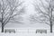 Benches in Winter Fog