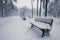 Benches in winter snowy park