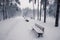 Benches in winter snowy park