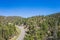 Bend in California Forest Road