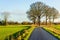 Bend country road with tall leafless trees