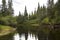 Bend in Moose River, with northern spruce forest, Adirondack Mountains.