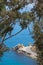 The bend in the road at Lover`s Cove on Catalina Island resort, sea is in background framed by eucalyptus trees, vertical format