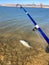 Bended blue fishing pole hooked a smallmouth buffalo (Ictiobus bubalus) on rocky shoreline of Grapevine Lake, Texas, USA