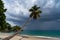 Bended palm tree on the beach with stormy clouds and colorful sea. copy space. Travel and vacation concept.