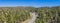 Bending Highway in California Pine Forest