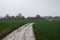 Bending road through the agriculture fields, Herent, Flemish Brabant, Belgium