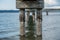 Beneath Dash Point Pier 1