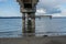 Beneath Dash Point Pier 2