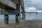 Beneath Dash Point Pier 3