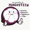 Benefits of mangosteen cute cartoon illustration