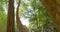 Beng Mealea ancient temple ruines in the middle of jungle forest in Sieam Ream, Cambodia