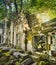 Beng Mealea or Bung Mealea temple. Siem Reap. Cambodia. Panorama