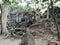 Beng Mealea, Jungle Temple, one of the most mysterious temples at Angkor, Cambodia