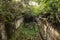 Beng Mealea temple jungle in Cambodia