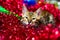 Bengal cat in Christmas red tinsel. the concept of Christmas cards