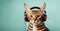 Bengal cat grooves: Feline charm in stylish headphones