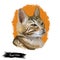 Bengal cat isolated on white background. Digital art illustration of hand drawn kitty for web. Dangerous kitten short haired
