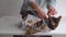 Bengal cat in a medical bandage on a dressing table in a veterinary clinic after sterilization