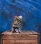 A bengal cat wearing Mexican hat and a soft toy on a wooden crate against a blue background