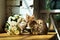 Bengal kitten smelling bouquet of flowers by window