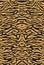 Bengali tiger fur, seamless background. Animal skin, striped symmetrical pattern, print for fabric. Vector