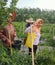 Bengkalis Riau, Indonesia - November 14, 2019: Some women were in the garden harvesting chilies