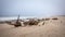 Benguela Eagle shipwreck, , which ran aground in 1973, on the C34-road between Henties Bay and Torra Bay in the Skeleton Coast are