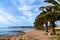 Benicarlo with palm trees coast view to Peniscola Spain