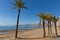 Benidorm Costa Blanca Alicante Spain with beach palm trees