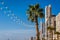 Benidorm skyscrapers