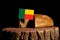 Benin flag on a stump with bread