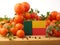 Benin flag on a wooden panel with tomatoes isolated on a white b