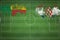 Benin vs Croatia Soccer Match, national colors, national flags, soccer field, football game, Copy space