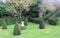 Benington Lordship Gardens, bushes and lawn