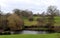 Benington Lordship Gardens, pond and trees