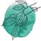 Benjamin ficus branch with decorative leaves, monochrome line illustration, emerald picturesque watercolor spot