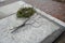 Benjamin Franklin\'s Grave, Philadelphia