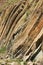 Bent hexagonal columns of volcanic origin at the Hong Kong Global Geopark in Hong Kong, China.