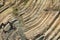 Bent hexagonal columns of volcanic origin at the Hong Kong Global Geopark in Hong Kong, China.