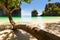 Bent Tree Growing On Shore At Beach