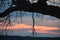 Bent Tree at sunset in Weatherford lake in Texas