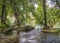 Bent trees with bare roots on the little islets in the river in the Krka National Park near Skradin, Croatia